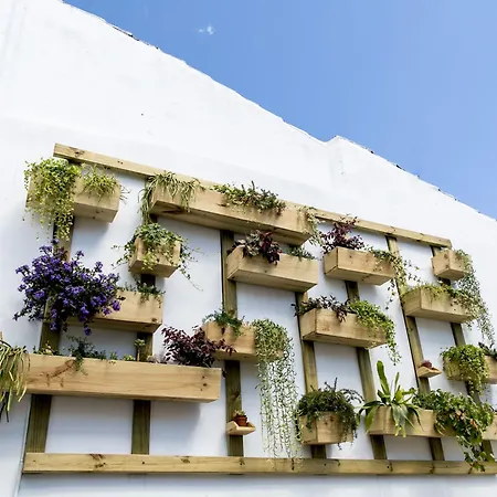 Chinitas Urban Hostel Málaga