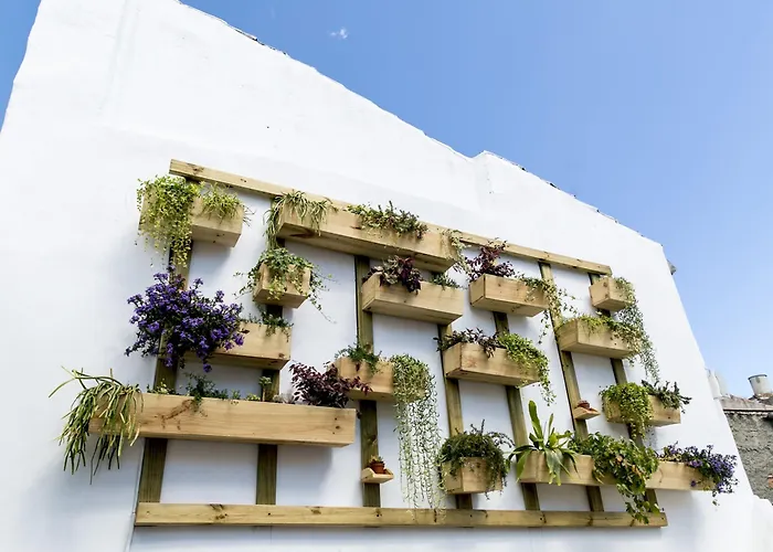 Chinitas Urban Ostello Málaga